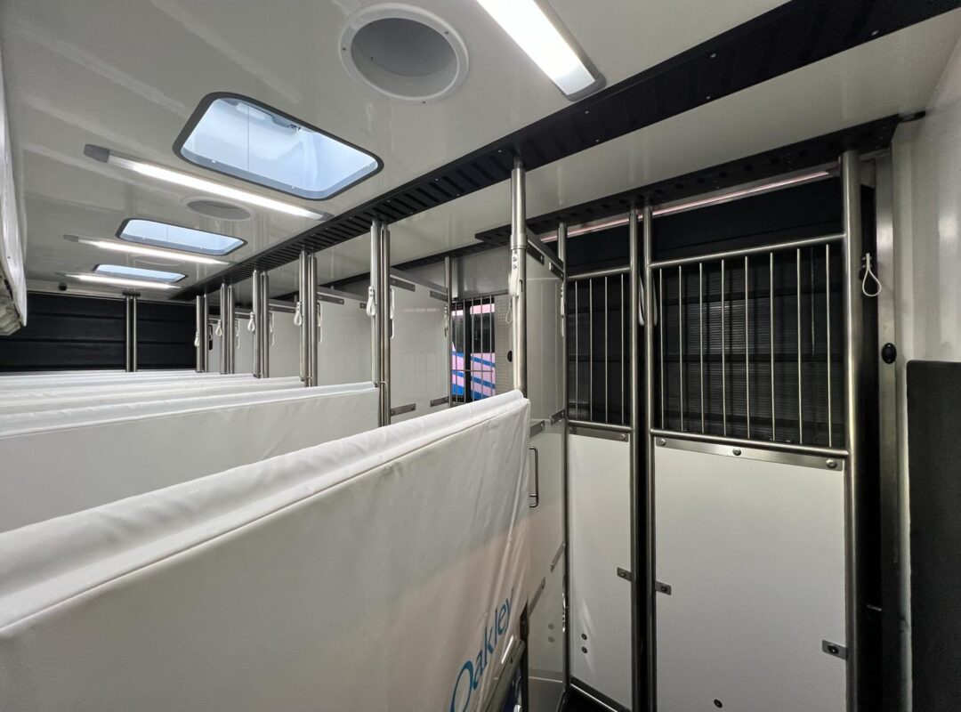 WhatsApp Image 2026-01-21 at 13.32.59 (2)